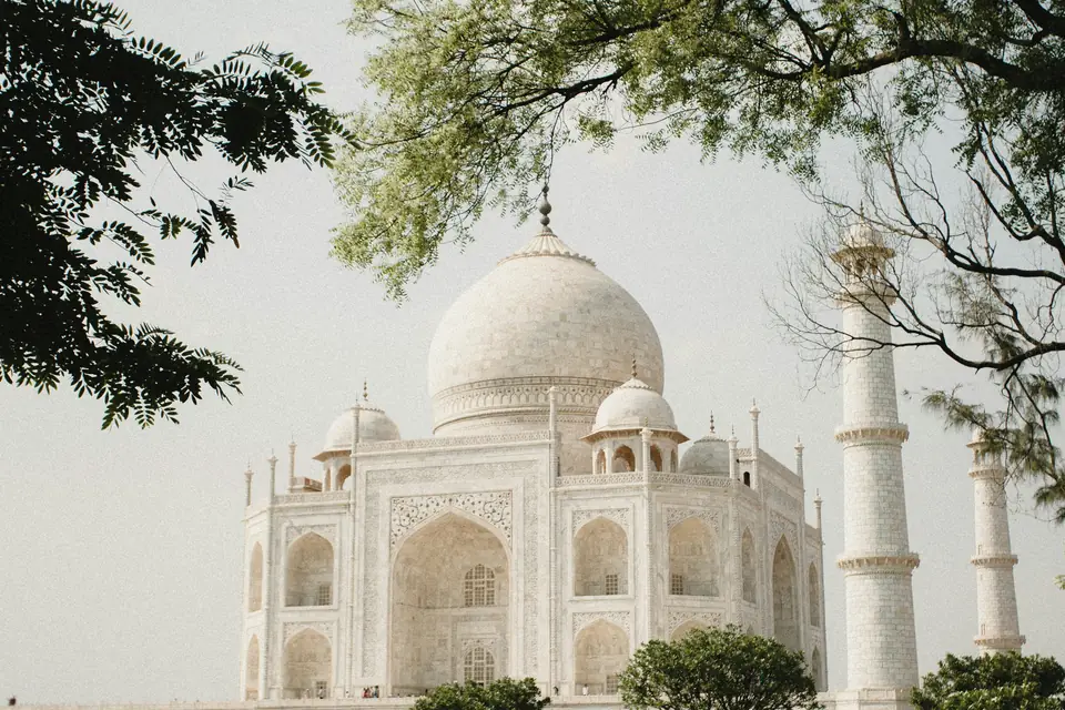 O Taj Mahal visto entre árvores, na Índia