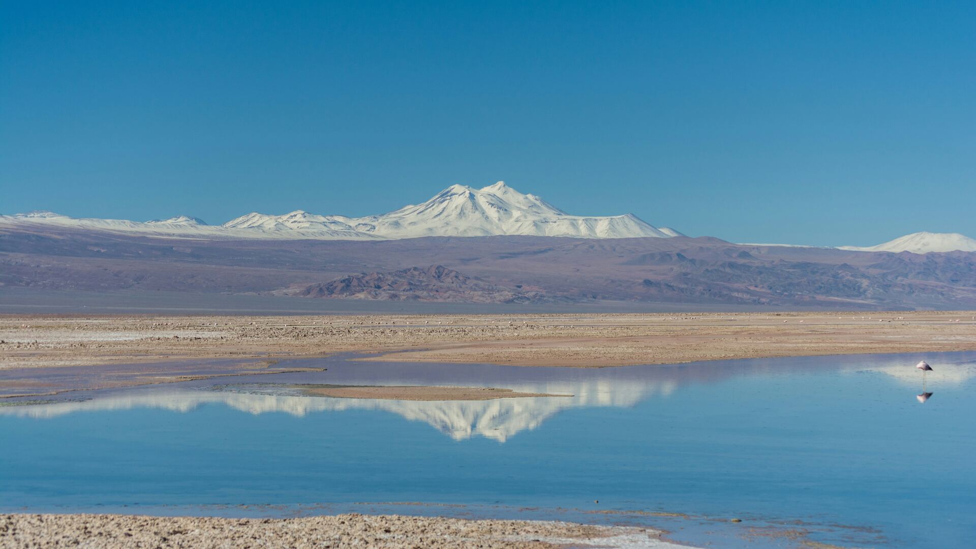Vulcão nevado refletido na lagoa de um salar, no altiplano andino.
