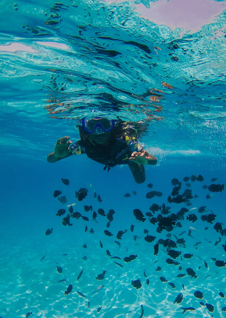 Mergulhador com snorkel sobre um cardume em água turquesa