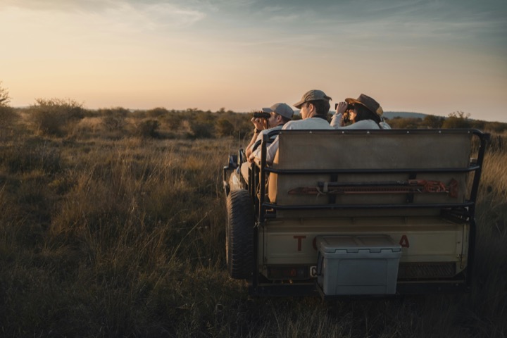 Viajantes observando a savana de dentro de um carro de safári.